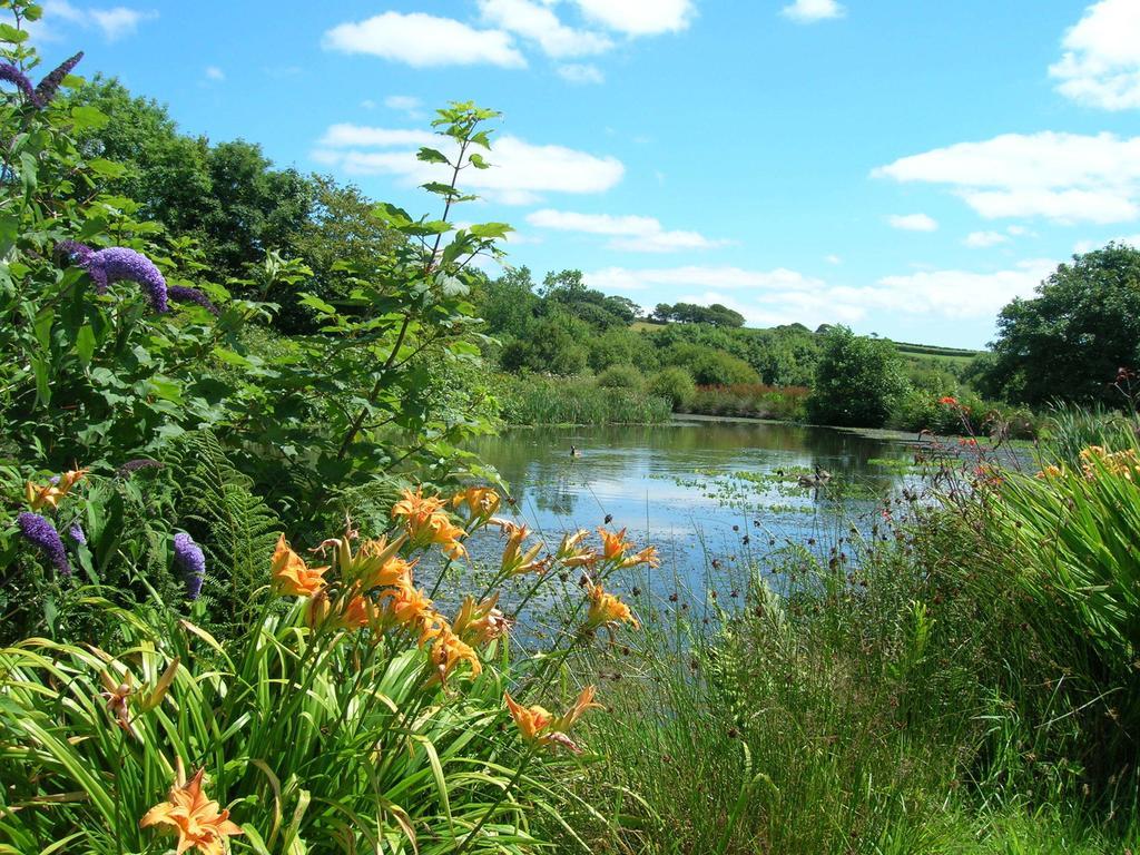 Bed and Breakfast Polhilsa Farm Callington Номер фото