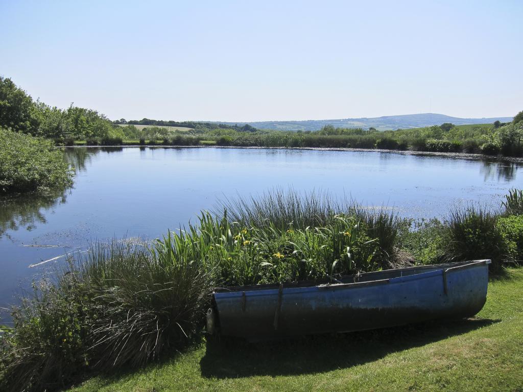 Bed and Breakfast Polhilsa Farm Callington Екстер'єр фото